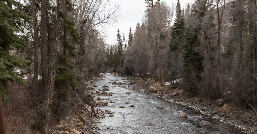 fly fishing in a creek