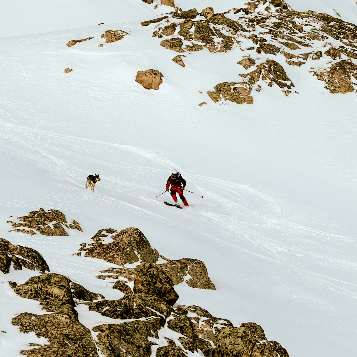 AdventureSports-Social Man skiing