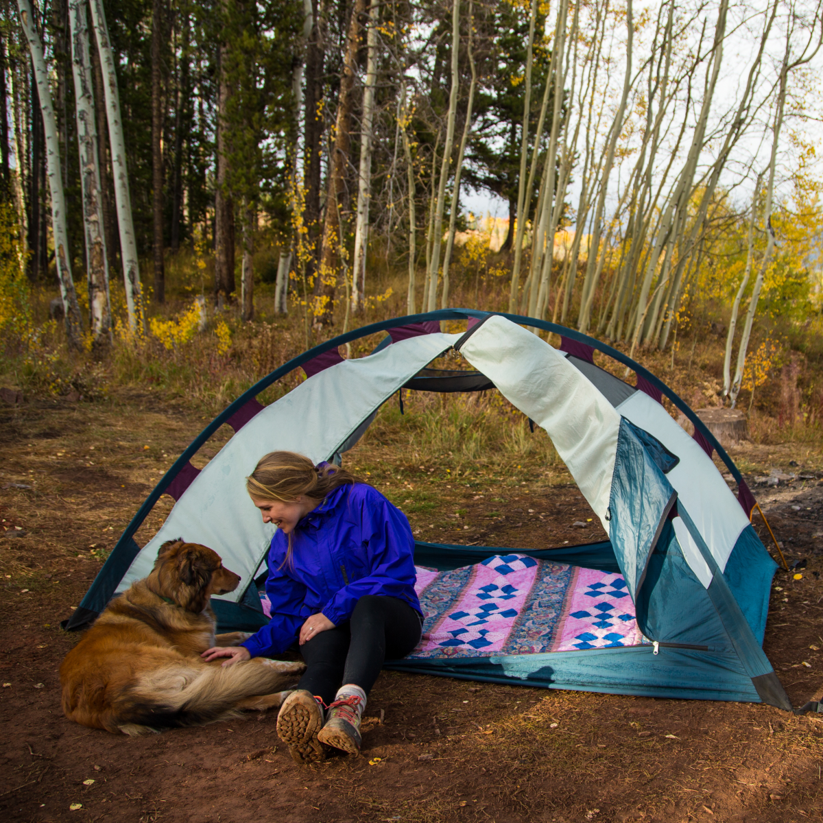 Camping-Digital girl and dog at tent