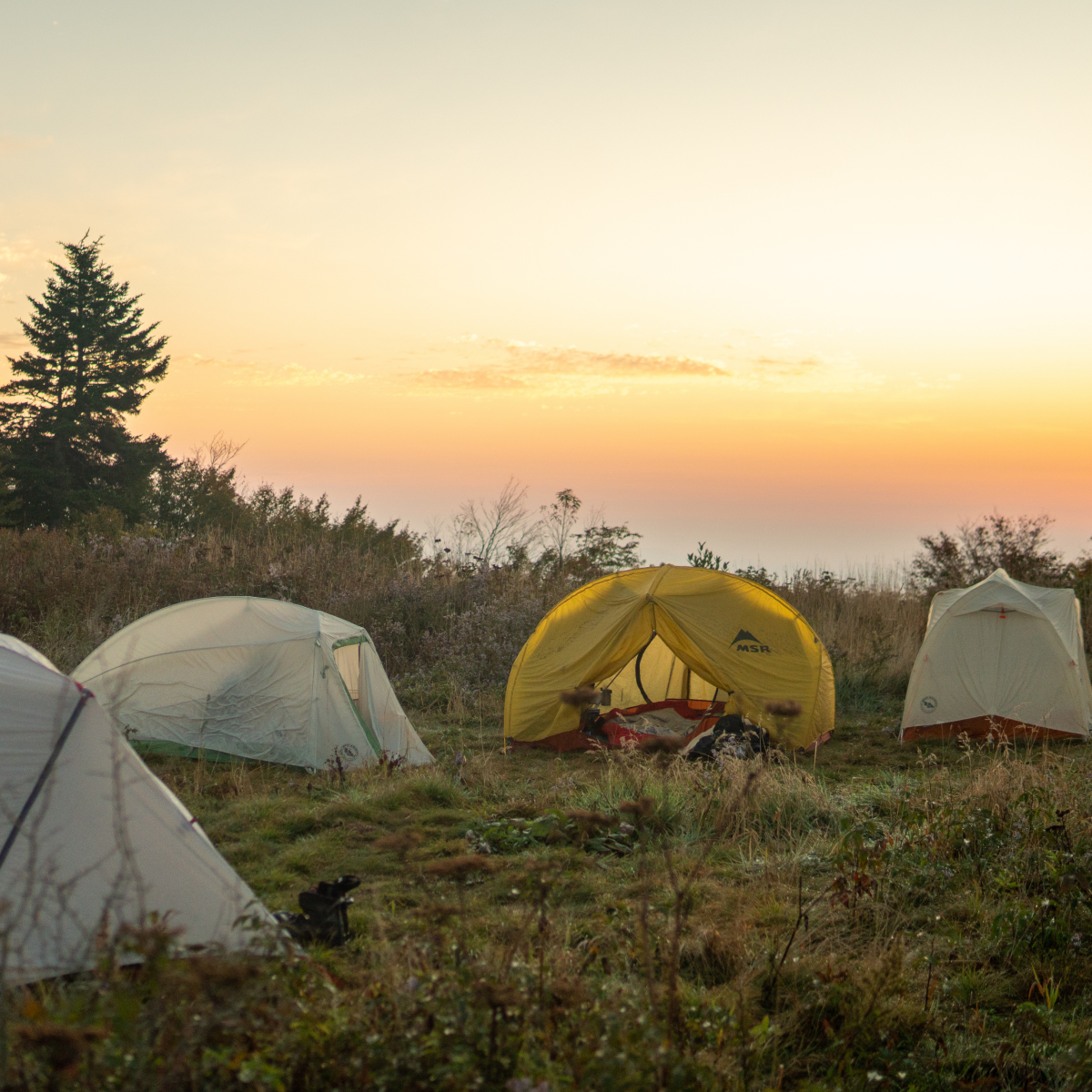 Camping-Ecomm tents at sunrise