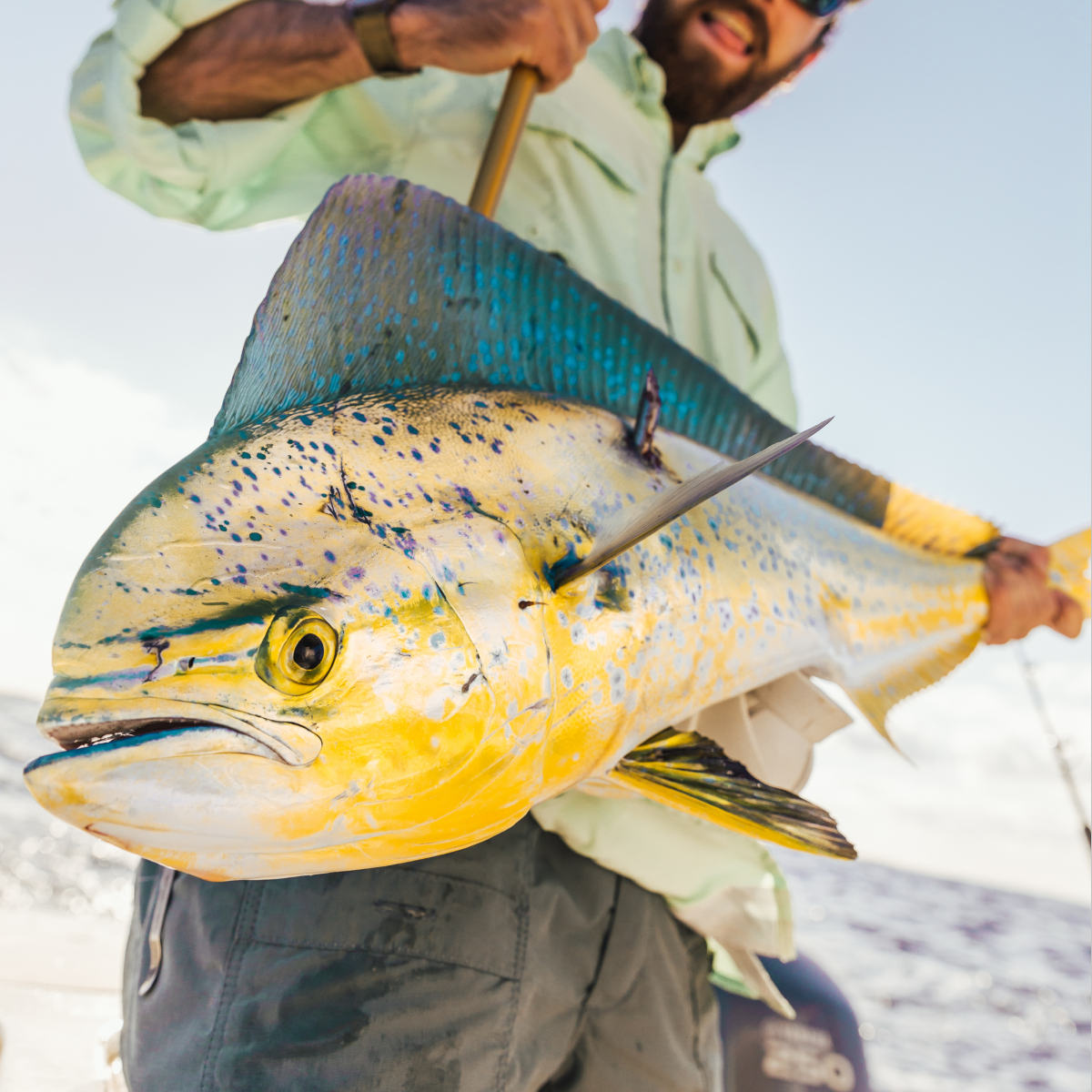 Fishing-BrandStrategy Man hooking fish