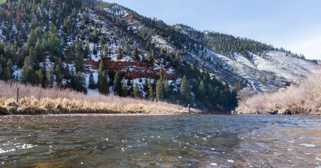 fishing in a creek in the mountains