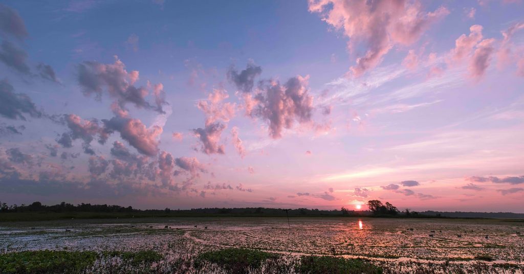 sunset over pond