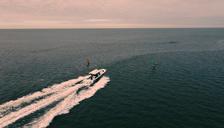 Raymarine